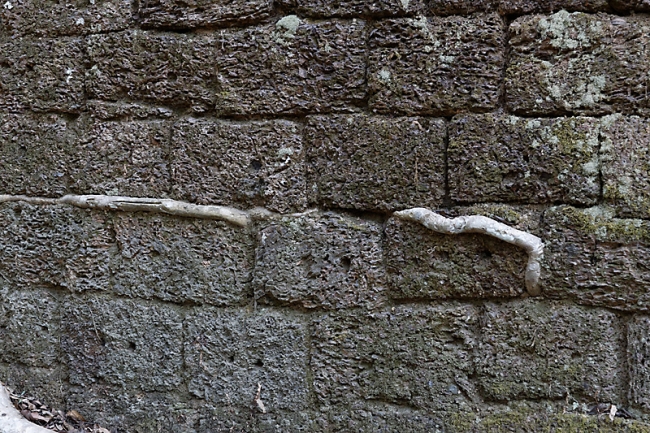 Ta Phrom et environs-006